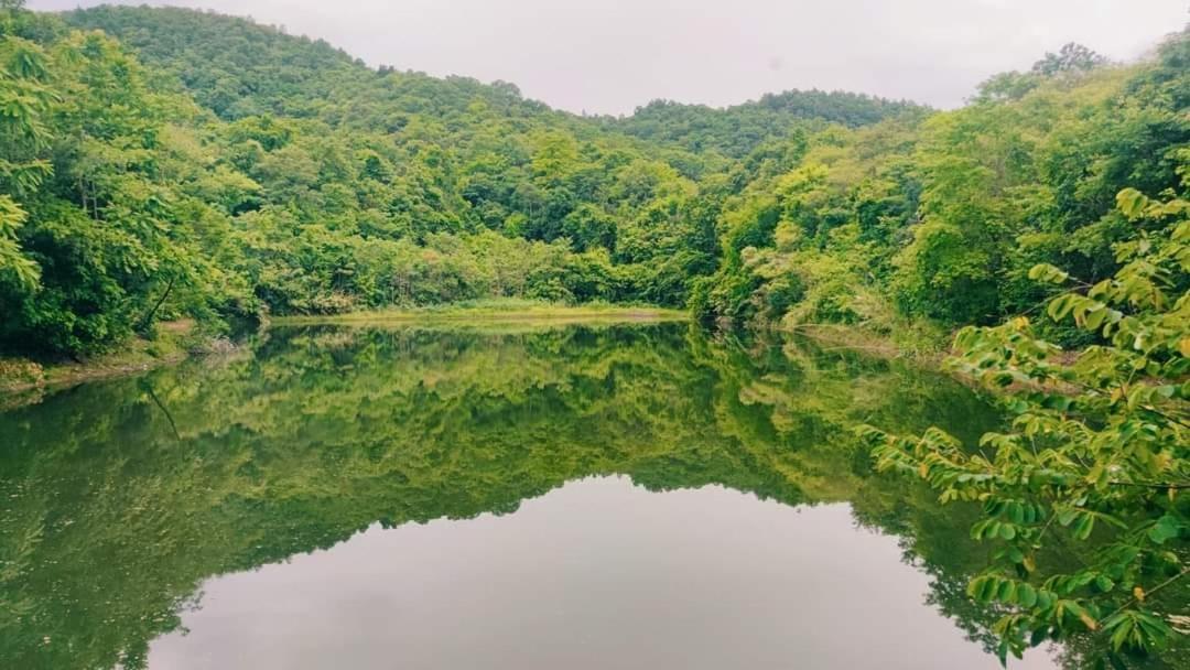 福雷斯塔别墅住宿加早餐旅馆 杭东 外观 照片