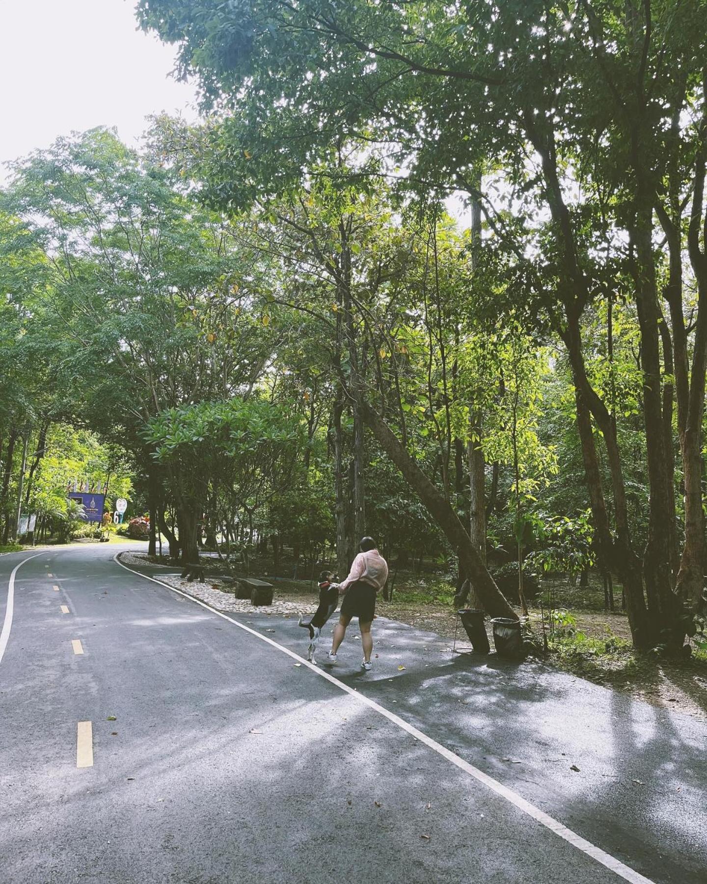 福雷斯塔别墅住宿加早餐旅馆 杭东 外观 照片