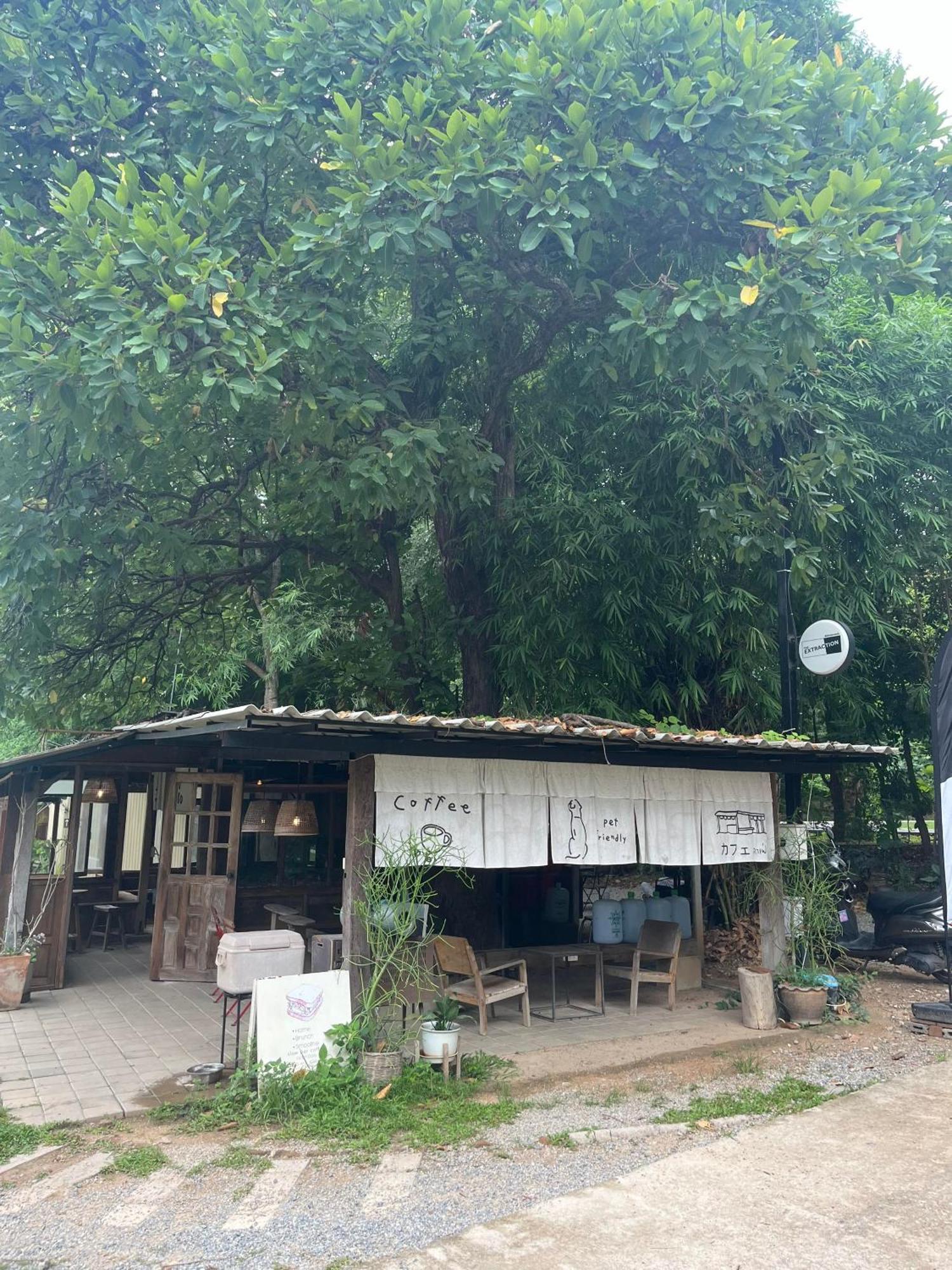 福雷斯塔别墅住宿加早餐旅馆 杭东 外观 照片